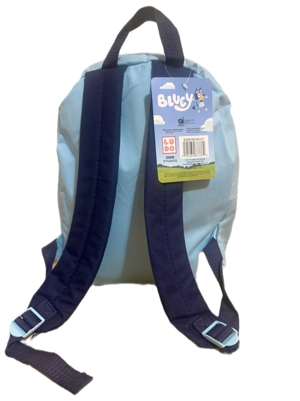 Blue Kids Backpack and Lunch Bag Set with Cartoon Characters